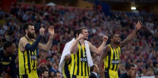 Artı Eksi: Fenerbahçe Doğuş Sezon Değerlendirmesi