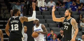 Joffrey Lauvergne, Fenerbahçe’de Fenerbahçe