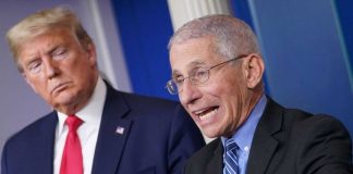 Dr. Fauci, Sporların Geri Dönmesi için Gerekenleri Açıkladı