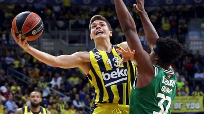 tarik biberovic