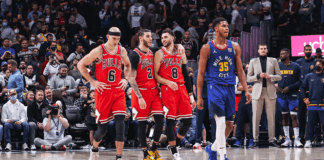 Air Chicago’nun Boğaları